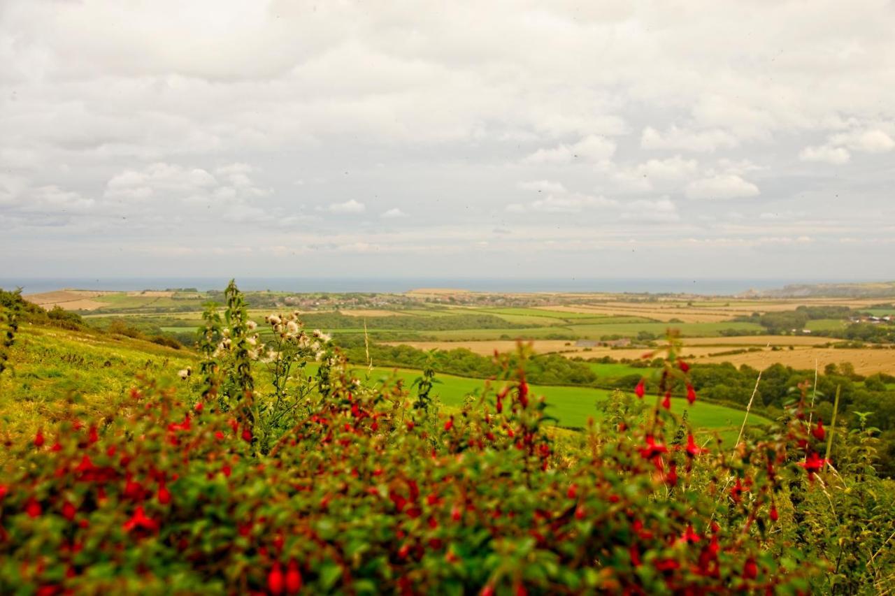 Rosecombe, Borrowby Farm Cottages Стейтс Екстериор снимка